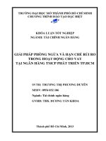 Giải pháp phòng ngừa và hạn chế rủi ro trong hoạt động cho vay tại ngân hàng TMCP phát triển TP. HCM