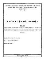 Phân tích tình hình tín dụng tiêu dùng cá nhân tại Ngân hàng TNHH MTV Standand Chartered Việt Nam (SCB VN)