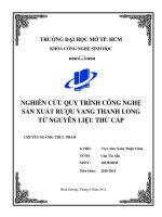 Nghiên cứu quy trình công nghệ sản xuất rượu vang thanh long từ nguyên liệu thứ cấp