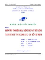 Phân tích tình hình hoạt động cho vay tiêu dùng tại ngân hàng TMCP Kỹ Thương Việt Nam Techcombank Chi nhánh Hồ Chí Minh