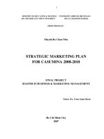 Strategic marketing plan for Casumina 2008 to 2010