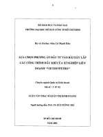 Lựa chọn phương án đầu tư vào bãi xây lắp các công trình dầu khí của xí nghiệp liên doanh Vietsovpetro