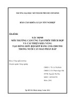 Xác định môi trường cảm ứng tạo phôi thích hợp và cải thiện khả năng tạo dòng đơn bội kép bằng Colchicine trong nuôi cấy bao phấn bắp