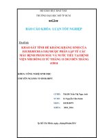 Khảo sát tính đề kháng kháng sinh của Escherichia Coli được phân lập từ các mẫu bệnh phẩm máu và nước tiểu tại Bệnh viện Nhi Đồng 2 từ tháng 11 năm 2013 đến tháng 04 năm 2014