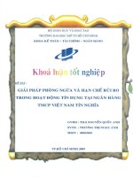 Giải pháp phòng ngừa và hạn chế rủi ro trong hoạt động tín dụng tại Ngân hàng TMCP Việt Nam Tín Nghĩa