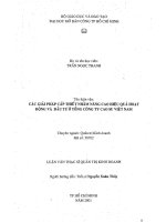 Các giải pháp cấp thiết nhằm nâng cao hiệu quả hoạt động và đầu tư ở tổng công ty cao su Việt Nam