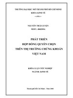 Phát triển hợp đồng quyền chọn trên thị truờng chứng khoán Việt Nam