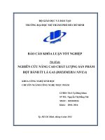 Nghiên cứu nâng cao chất lượng sản phẩm bột bánh ít lá gai (Boehmeria Nivea)