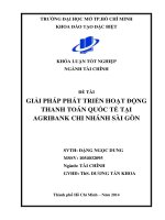 Giải pháp phát triển hoạt động thanh toán quốc tế tại Agribank Chi nhánh Sài Gòn