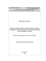 Review current credit and treasury controls to improve cash management and minimize risks at exxonmobil Vietnam