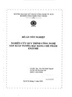 nghiên cứu quá trình sản xuất tương bắc bằng chế phẩm enzyme