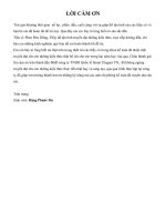 THỰC TRẠNG VỀ KẾ TOÁN TIÊU THỤ VÀ XÁC ĐỊNH  KẾT QUẢ  SẢN XUẤT KINH DOANH TẠI CÔNG TY TNHH QUỐC TẾ SMART ELEGANT (VN)