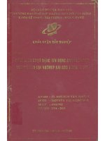 Phân tích hoạt động tín dụng doanh nghiệp vừa và nhỏ tại ngân hàng TMCP Sài Gòn Thương Tín