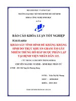 Khảo sát tình hình đề kháng kháng sinh do trực khuẩn Gram âm gây nhiễm trùng hô hấp được phân lập tại Bệnh viện Nhân dân 115