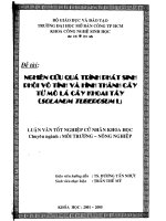 Nghiên cứu quá trình phát sinh phôi vô tính và hình thành cây từ mô lá cây khoai tây (Solanum tuberosum L)