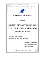 Nghiên cứu quy trình sản xuất trà túi lọc từ lá Gai (Boehmeria nivea).