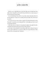 Nuôi cấy In Vitro cây sầu riêng (Durio Zibethinus Murray)