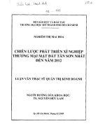 Chiến lược phát triển xí nghiệp thương mại mặt đất Tân Sơn Nhất đến năm 2012