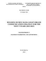 Building Dumex Mama golds brand communication strategy for the next 3 years (2013 đến 2013)