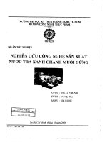 nghiên cứu công nghệ sản xuất nước trà xanh chanh muối gừng
