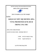 Khảo sát mức độ Methyl hóa vùng Promoter Gene Reck trong ung thư