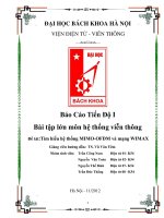 tìm hiểu hệ thống mimo-ofdm và mạng wimax