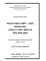 Hoạch định chiến lược Marketing Công ty Giấy Bình An đến năm 2005