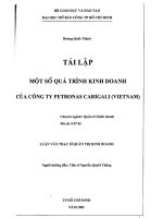 Tái lập một số quá trình kinh doanh của công ty Petronas Carigali (VietNam)