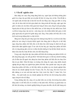 Một số giải pháp nhằm hoàn thiện hoạt động chiêu thị tại xí nghiệp Vissan