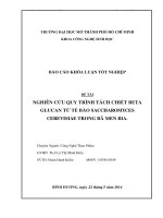 Nghiên cứu quy trình tách chiết Beta Glucan từ tế bào Saccharomyces Cerevisiae trong bã men bia