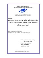Hỗ trợ định danh nấm ký sinh côn trùng dựa trên phân tích phả hệ vùng gen TEF1