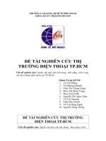 ngiên cứu nhu cầu tiêu dung, khả năng, triển vọng của thị trường điện thoại tại tp.hcm