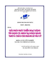 Giải pháp phát triển hoạt động tín dụng cá nhân tại Ngân hàng TMCP Á Châu Chi nhánh Lê Văn Sỹ