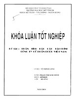 Phân tích báo cáo tài chính Công ty cổ phần rượu Việt Nam