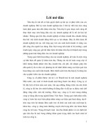 Chuyên đề hoàn thiện kế toán tiêu thụ thành phẩm và xác định kết quả tiêu thụ tại công ty cổ phần dược vật tư Y tế Thanh Hoá