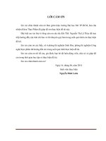 Nghiên cứu quy trình chế biến sản phẩm nước cốt nấm Đông Cô (Lentinula Edodes) và khảo sát hoạt tính chống Oxi hóa của sản phẩm