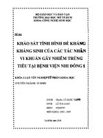 Khảo sát tình hình đề kháng kháng sinh của các tác nhân vi khuẩn gây nhiễm trùng tiểu tại bệnh viện nhi đồng 1