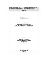 Business strategy for SaiGon cosmetics corporation