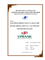 Giải pháp phòng ngừa và hạn chế rủi ro trong cho vay tại VPBank chi nhánh Sài Gòn