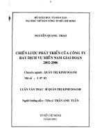 Chiến lược phát triển của công ty Bay dịch vụ Miền Nam giai đoạn 2002 đến 2006