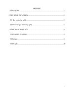 ứng dụng sóng siêu âm để xử lý dứa trong sản xuất nước ép trái cây