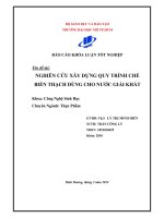 Nghiên cứu xây dựng quy trình chế biến thạch dùng cho nước giải khát