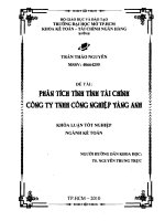 Phân tích tình hình tài chính Công ty TNHH công nghiệp Vàng Anh