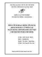 Phân tích hoạt động tín dụng khách hàng cá nhân tại ngân hàng liên doanh Lào Việt Chi nhánh thành phố Hồ Chí Minh