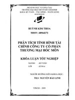 Phân tích tình hình tài chính Công ty cổ phần thương mại Hóc Môn