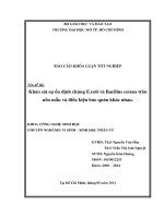 Khảo sát sự ổn định chủng E.coli và Bacillus cereus trên nền mẫu và điều kiện bảo quản khác nhau