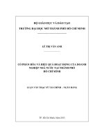 Cổ phần hóa và hiệu quả hoạt động của doanh nghiệp nhà nước tại thành phố Hồ Chí Minh