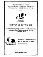 Phát triển hoạt động cho vay tiêu dùng tại ngân hàng Techcombank chi nhánh Phú Mỹ Hưng