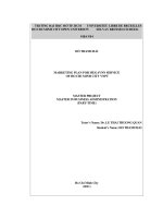 Marketing plan for Megavnn service of Ho Chi Minh city VNPT