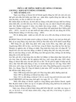 Nghiên cứu hệ thống nhiên liệu động cơ DIEZEN